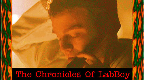 The Chronicles Of LabBoy